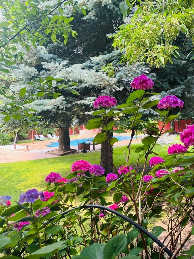 B&B Concha Бесерил де ла Сиера Екстериор снимка